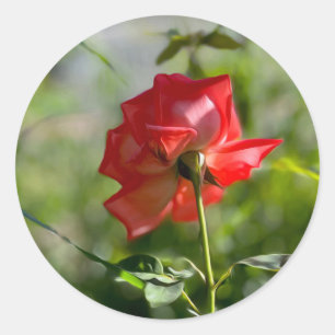 Adesivo Redondo Uma rosa vermelha
