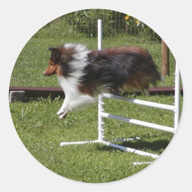 Adesivo Redondo Uma Sheltie Limpa o Bar (Frente)