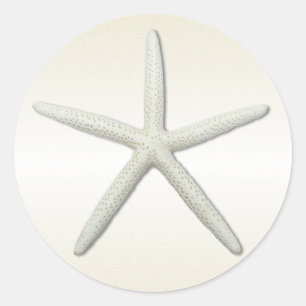 Adesivo Redondo Única estrela do mar Champagne de Bayside redondo