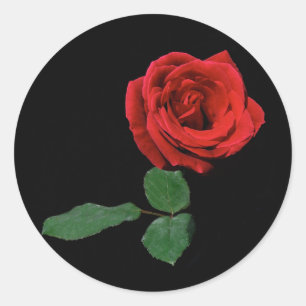 Adesivo Redondo Única rosa vermelha