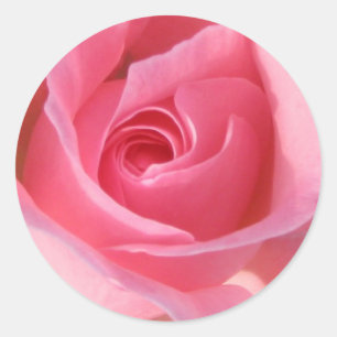 Adesivo Redondo Único rosa do rosa