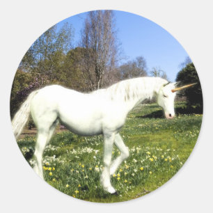 Adesivo Redondo Unicórnios