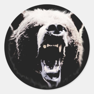 Adesivo Redondo Urso