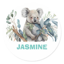 Urso coala bonito, eucalipto