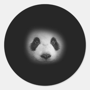 Adesivo Redondo Urso De Panda Para Amantes de os animais E Ursos B