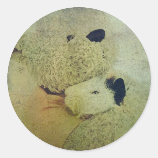 Adesivo Redondo Urso De Teddy Abraça Um Porco De Guiné (Frente)