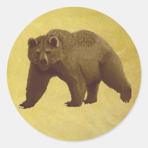Adesivo Redondo Urso de urso