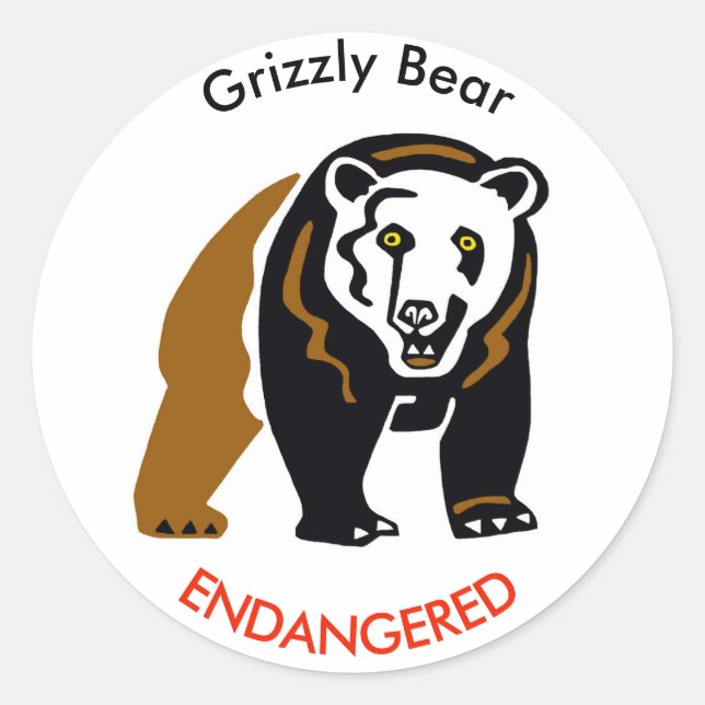 Adesivo Redondo Urso-grizzly selvagem - Ameaçado - Vida selvagem - (Frente)