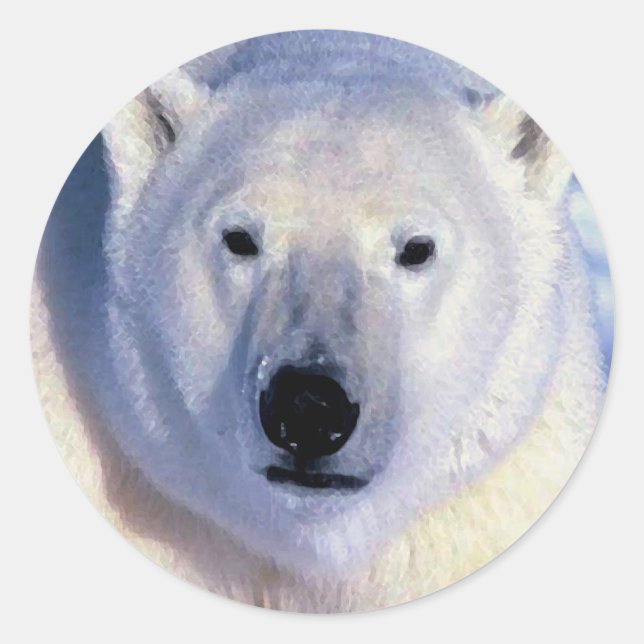 Adesivo Redondo Urso Polar (Frente)