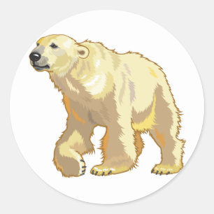 Adesivo Redondo urso polar