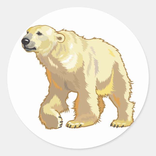 Adesivo Redondo urso polar (Frente)