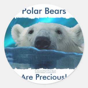 ADESIVO REDONDO URSO POLAR NADADOR