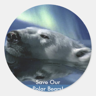 ADESIVO REDONDO URSO POLAR NADADOR