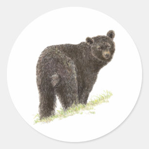 Adesivo Redondo Urso preto bonito, natureza animal, animais