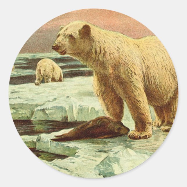 Adesivo Redondo ursos polares em geleiras Desenho artístico da déc (Frente)