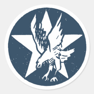 Adesivo Redondo USA Fighting Squadron Insignia