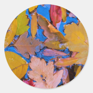 Adesivo Redondo Utah, área de reconstrução nacional de Glen Can