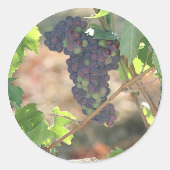 Adesivo Redondo Uvas (Frente)