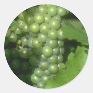 Adesivo Redondo Uvas