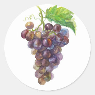 Adesivo Redondo Uvas Douradas Roxas – Aquarela Botânica