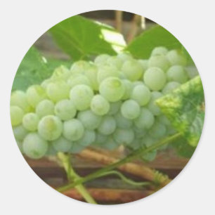 Adesivo Redondo Uvas verdes de Califórnia