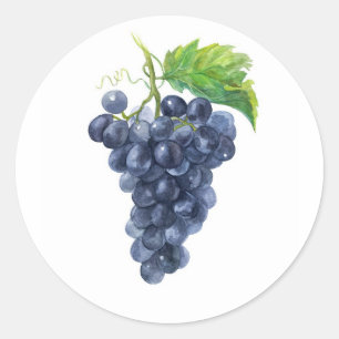 Adesivo Redondo Uvas. Watercolor.