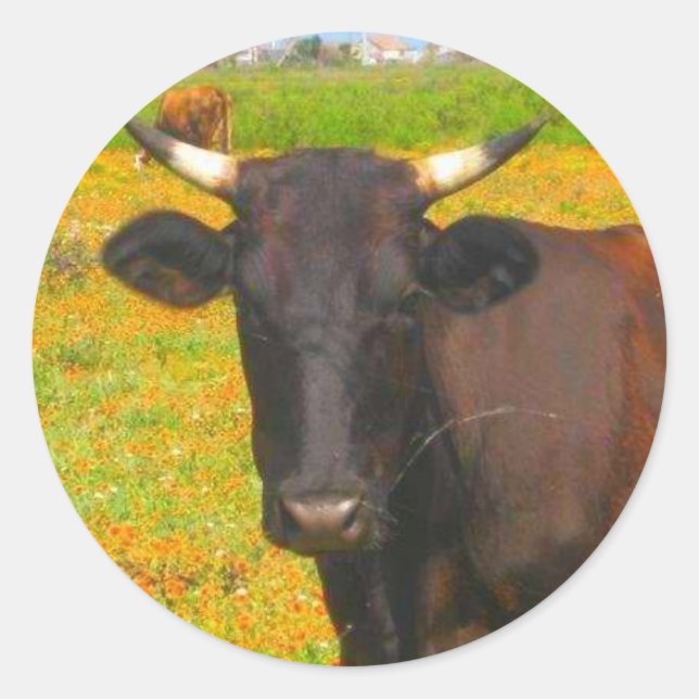 Adesivo Redondo Vaca (Frente)