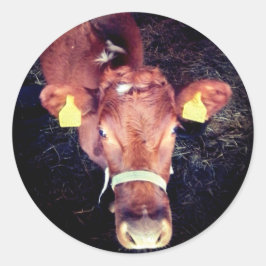 Adesivo Redondo Vaca castanha