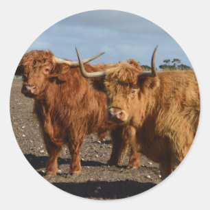 Adesivo Redondo Vacas Marrons,