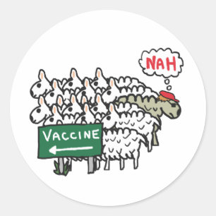 Adesivo Redondo Vacinação Anti-Vax Ovinos