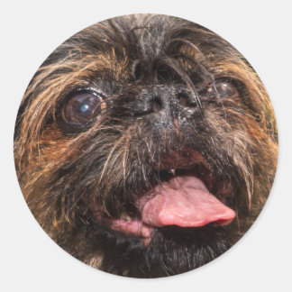 Adesivo Redondo Valência!