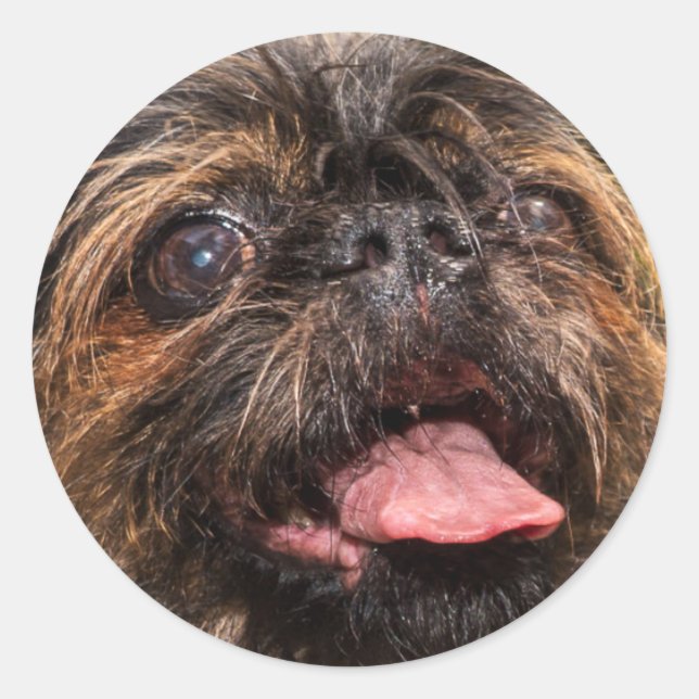 Adesivo Redondo Valência! (Frente)