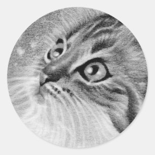 Adesivo Redondo Vamos Neve Kitty Cat