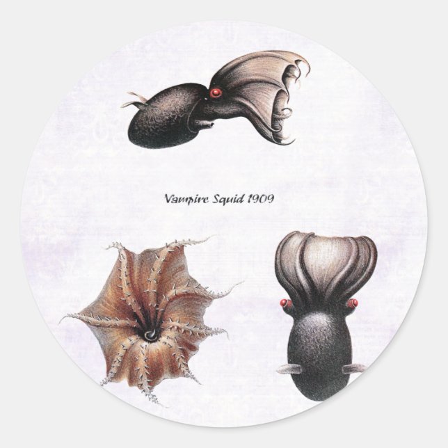 Adesivo Redondo Vampire Squid Sticker (Frente)
