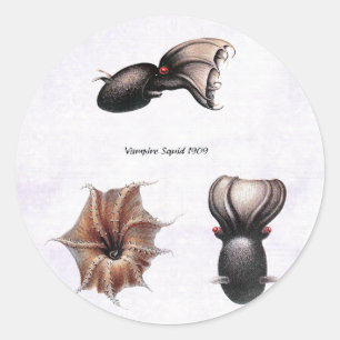 Adesivo Redondo Vampire Squid Sticker