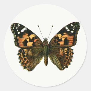 Adesivo Redondo Vanessa cardui - A Pintada Lady Butterfly Keycha