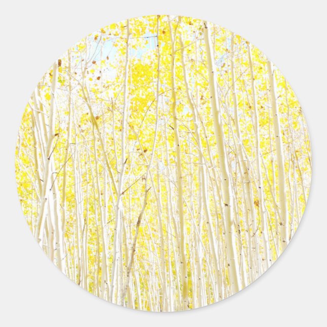 Adesivo Redondo Vanilla Cake Aspen (Frente)