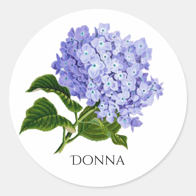 Adesivo Redondo Vedal de Envelope de Hyrdangea Floral de Verão (Frente)