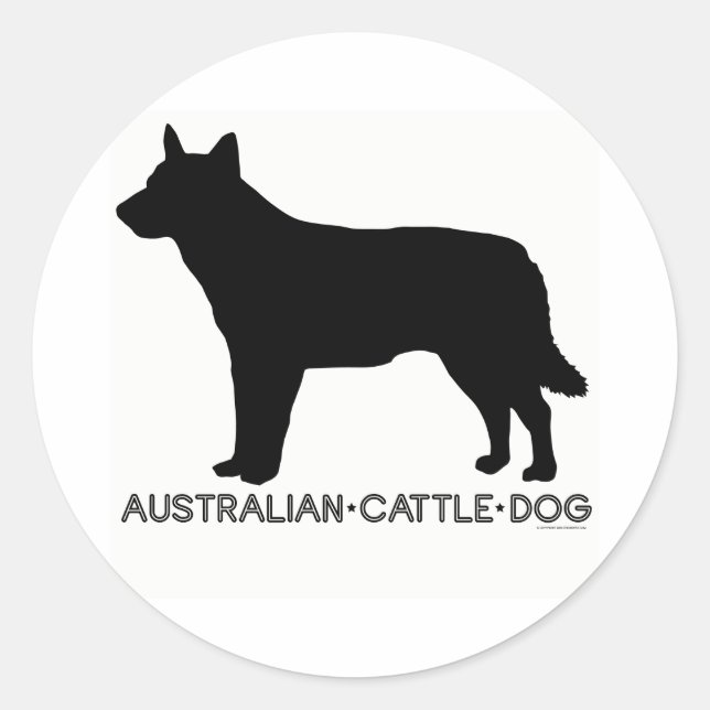 Adesivo Redondo Vedante de Cães de Bovinos Australiano (Frente)