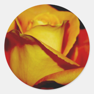 Adesivo Redondo Vedantes e autocolantes de Envelope Peach legante