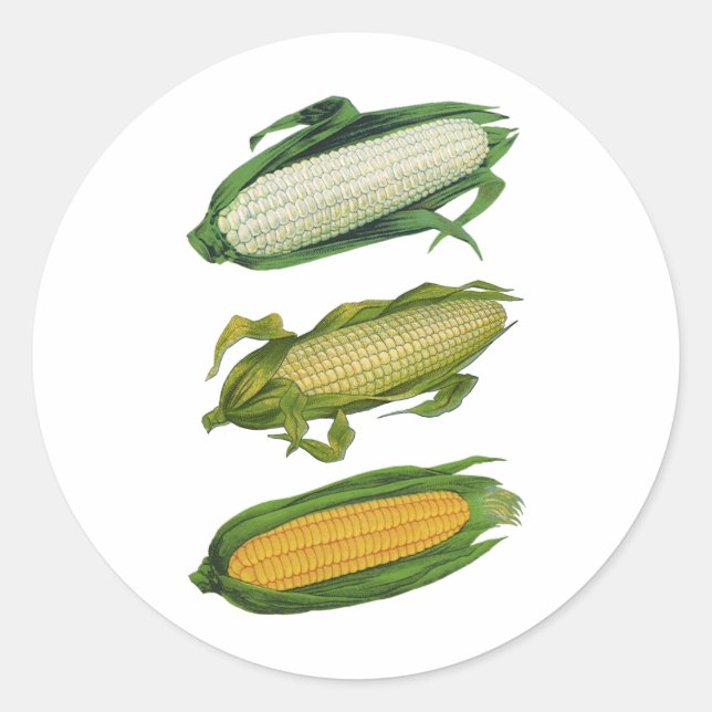 Adesivo Redondo Vegetais saudáveis da Comida de colheita, milho fr (Frente)