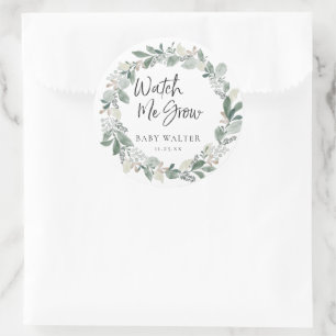 Adesivo Redondo Veja-me crescer   Favor do Chá de fraldas Eucalyp