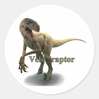 Adesivo Redondo Velociraptor