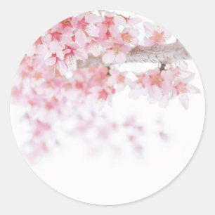 ADESIVO REDONDO VELOPE SINALIZADOR: CHERRY BLOSSOM