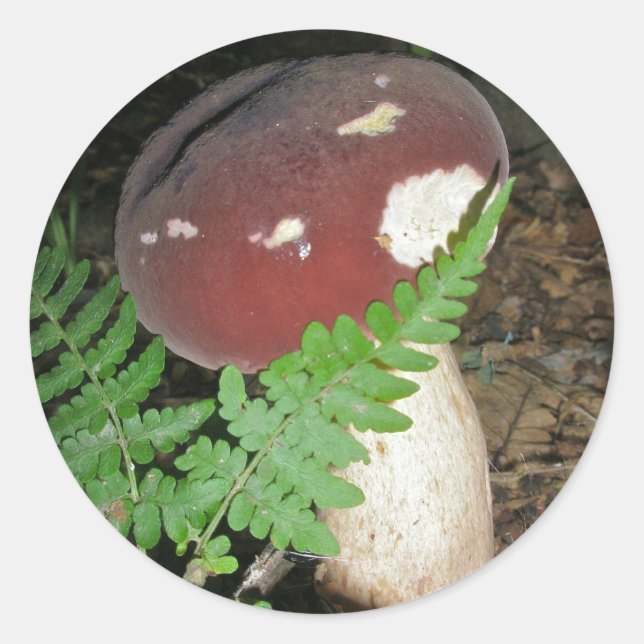 Adesivo Redondo Velvet Mushroom Stickers (Frente)