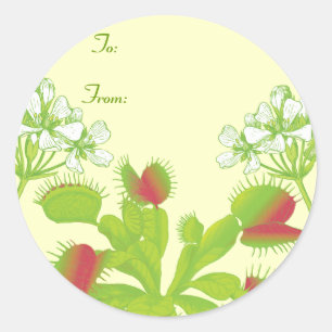 Adesivo Redondo Venus Flytrap Gift