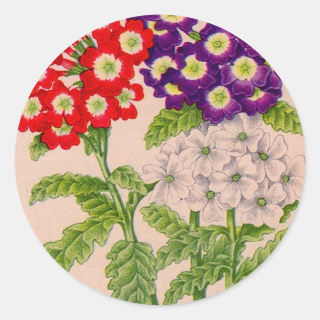 Adesivo Redondo verbena flores em vermelho e roxo (Frente)