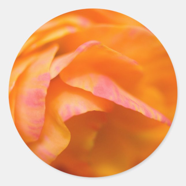 Adesivo Redondo verdade solitário (Frente)