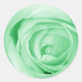 Adesivo Redondo Verde claro