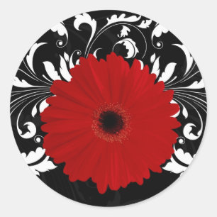 Adesivo Redondo Vermelho brilhante Gerbera Daisy em preto